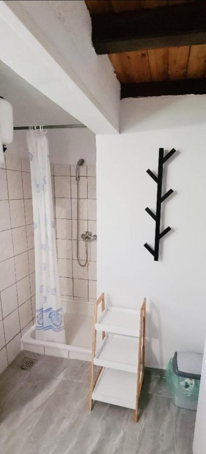 Apartments Vila Zagorje Stinica Kültér fotó